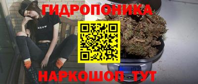 молекула духа Малоярославец