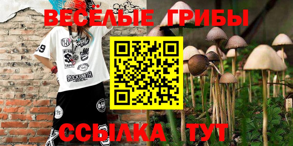 Псилоцибиновые грибы MAGIC MUSHROOMS Южноуральск