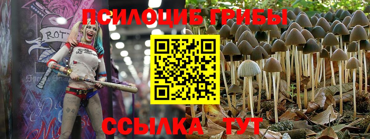 Кокаин  Кодеин  ГАШ  COCAIN  Вход с VPN  ТГК  Южноуральск  Каннабис  Меф МЯУ МЯУ кристаллы  Гашиш  Наркошоп 